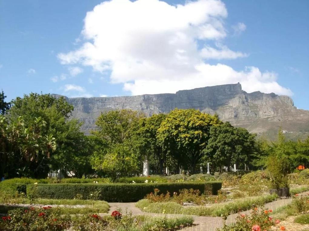 Taj Hotel Cape Town - Luxury 5 Star Suites - Very Spacious With Kitchenette, Lions Head Views Eksteriør billede